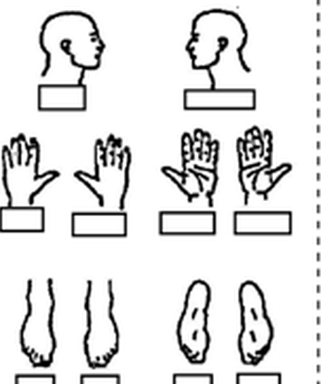 Body part diagram thumbnails